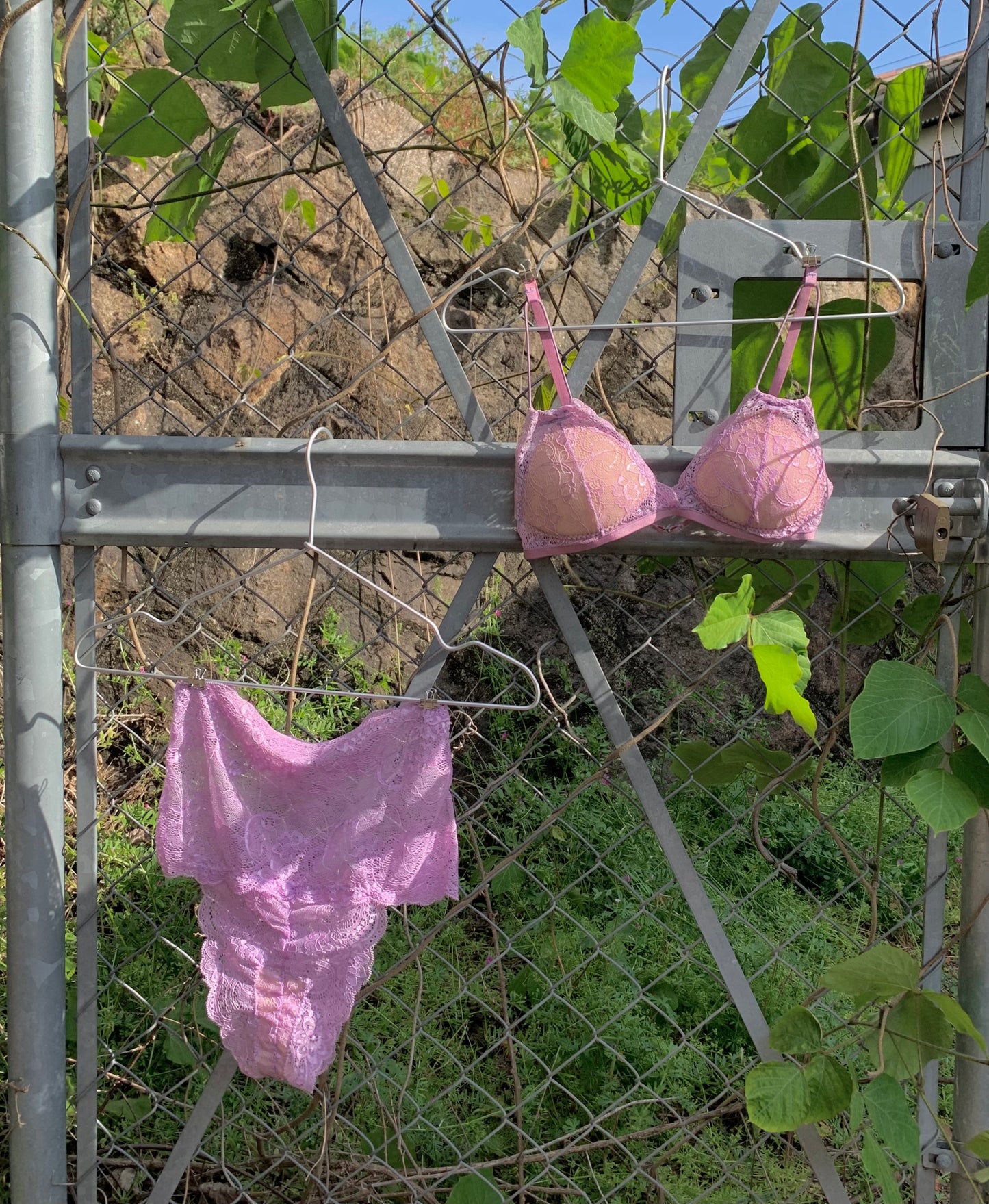 My color : Bra