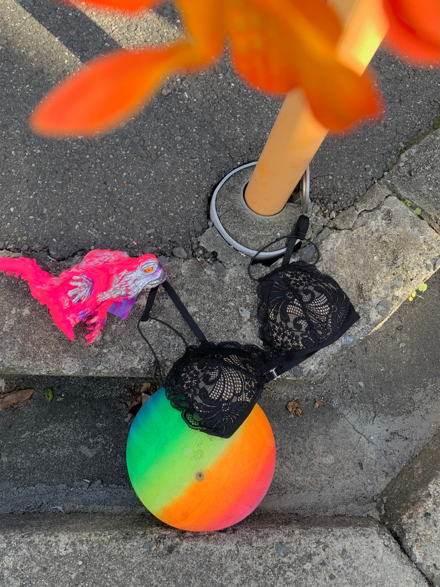 My color : Bra