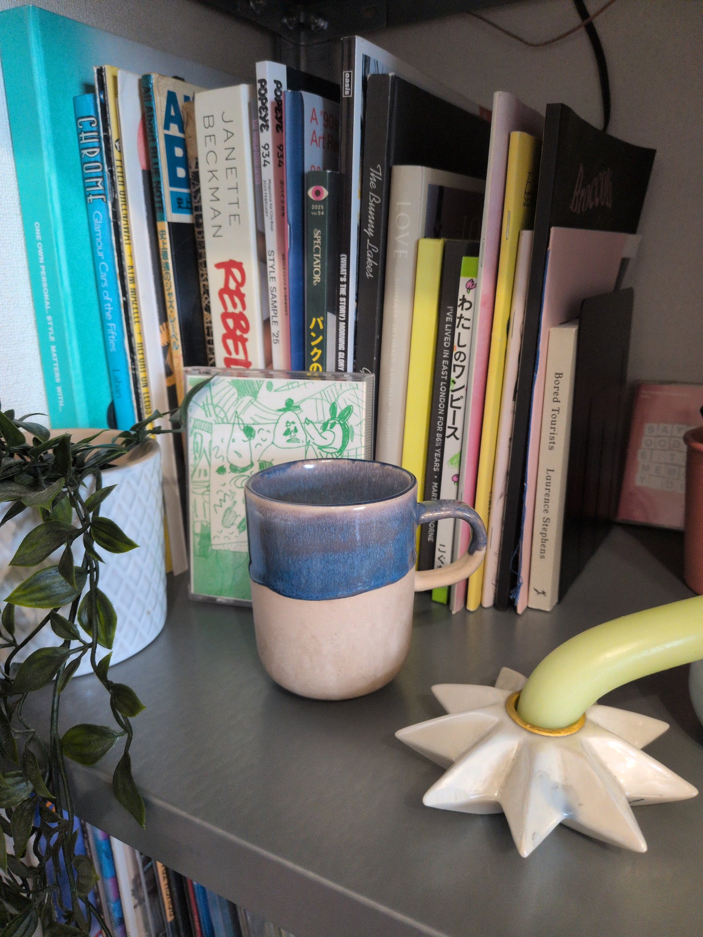 Classic Kiwi Vibe Mug