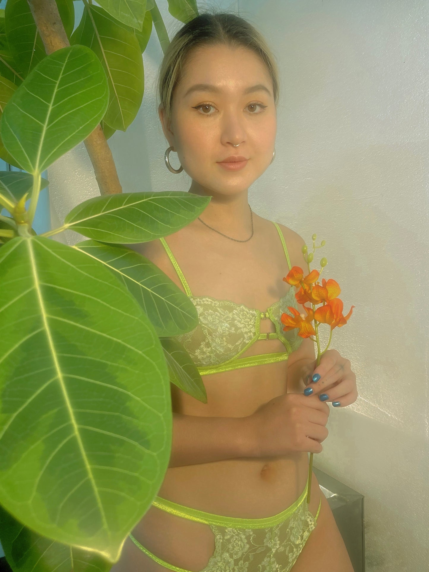 Vase : Bra