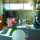 White ball vase