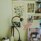 Ribbon table lamp